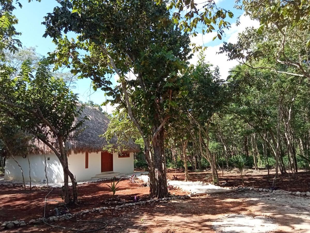 Cabana Magica & Yoga Ek' Balam Bagian luar foto